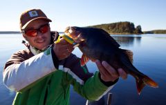 Железкин с окунем