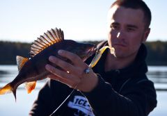 Железкин с окунем