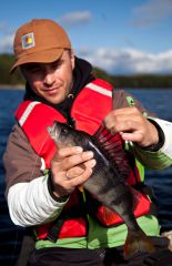 Железкин с окунем