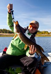 Железкин со щучкой