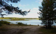 Озеро, вид из леса