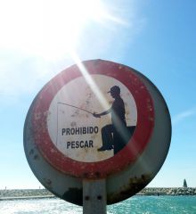 Ловить рыбу запрещено!