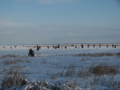 народ на мормышку пытает окуня