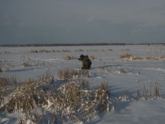 сосед по ловле