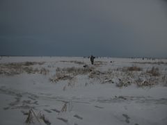 к обеду разъяснивается