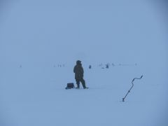 Неро 7 декабря 2013