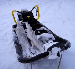 Джиффи с уловом