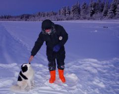 А собаке похую мороз