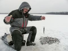 Ебана-окунь