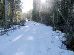 По дороге на Медицинское