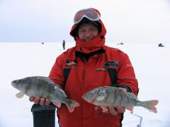 БАВ с рыбой 2