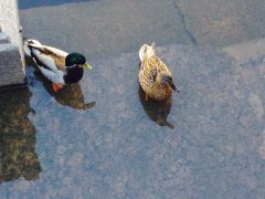 image 16 04 14 05 28 1