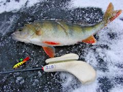 Питерская блеснилка от БАВа