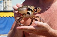 Феодосия Крым. Последний трофей.