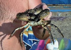 Самый большой трофей.