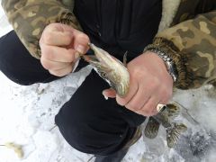 20140208 113056