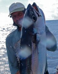 ДогтусМакс