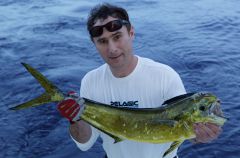 Замученная тролом корифена.jpg