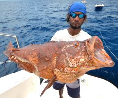 ГрупперСерега