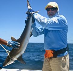 Акула МакесНеБоитсяЕе