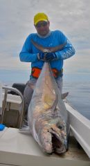 ДогтусМакес