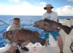 Группер2МаксАльберт