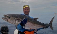 Догтус1Макес