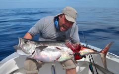 ДогтусМиха