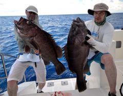 ГрупперМаксАльберт