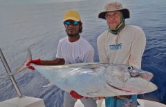 Догтус2Альберт