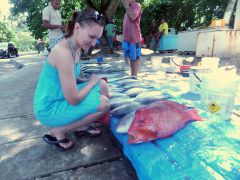 Рыбный рынок.