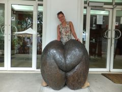 Коко де Мер.