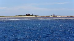 Африкан Бенкс.