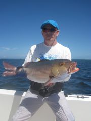 ! день Вадим.