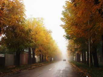 ФОТО 2007 840(1)