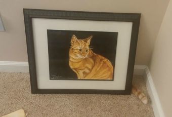 catbehindpicture