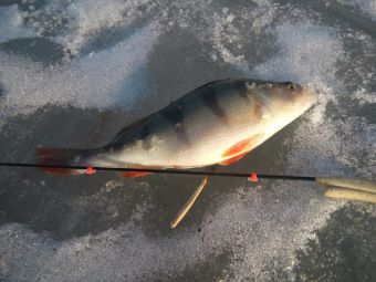 2e7ea4a6 8a9b 48c5 92ec 6dd518212029