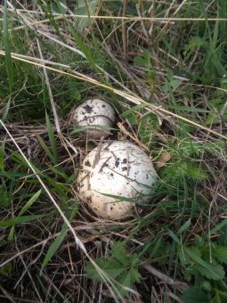 01a6073a 8f75 4956 9cd3 feac8ac112cb