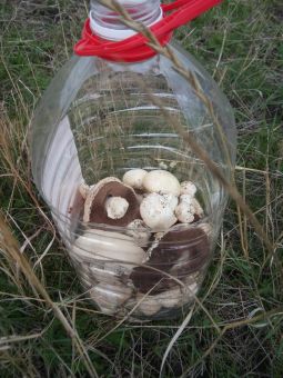 410f0e2b b270 4209 bfee 10465dda8895