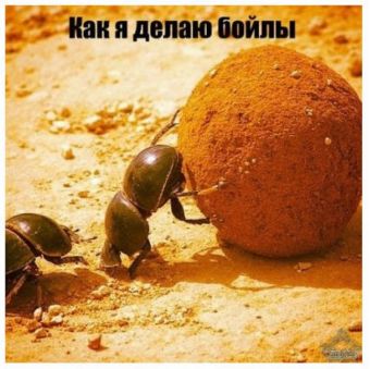 Big 134051 1449827575566a9cf73b513