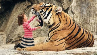 Wow amazing Hd wallpaper 583489