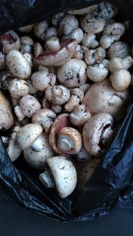 aec2bfa2 b1c6 4ca9 bf7b b7bf25e2fa56