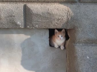 b0cc586d b8d7 4922 b4b1 92234d98a28c