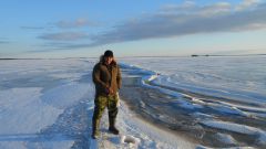 Изображение 182