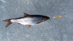 Изображение 154