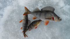 Изображение 218