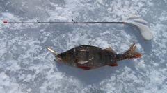 Изображение 211