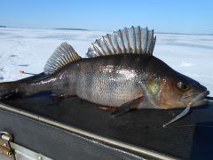 Изображение 021