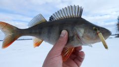 Изображение 213