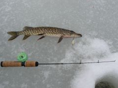 Изображение 035